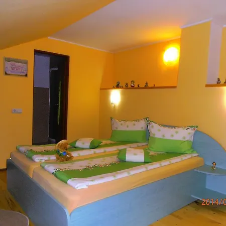 Πανσιόν Casa Doma'r - Alina 3*