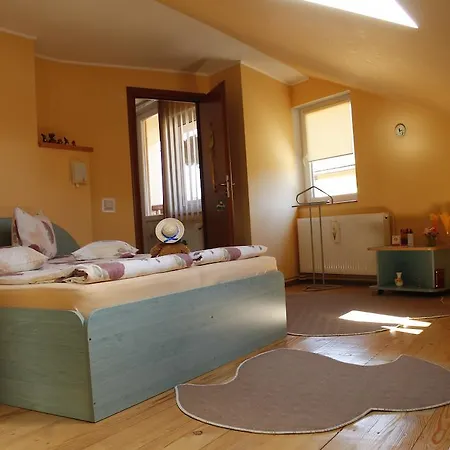 Πανσιόν Casa Doma'r - Alina