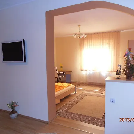 Πανσιόν Casa Doma'r - Alina 3*
