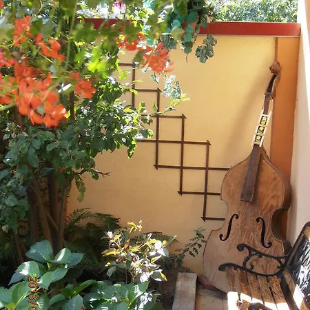 Casa Doma'r - Alina